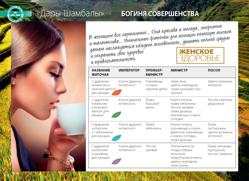 каталог TianDe 