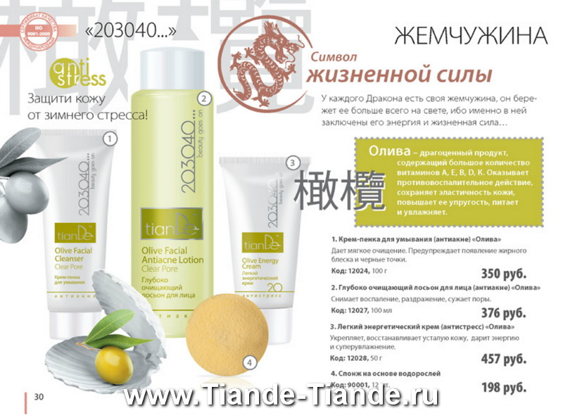 Каталог Tiande 2012