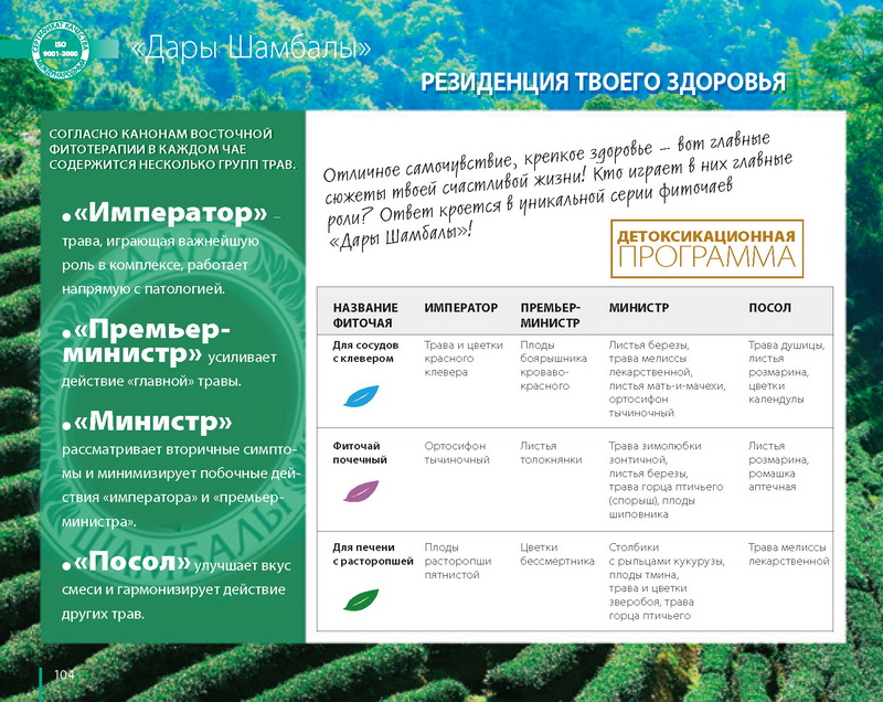 Каталог TianDe Лето