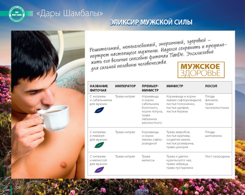 Каталог TianDe Лето