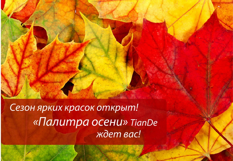 Акции TianDe Осень 2012